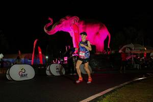 BIB: 
                            <button type="button" onclick="openModal(26544160)" class="btn btn-primary btn-sm float-right btn-popup" data-toggle="modal" data-target=".modal-high-quality">
                        <i class="fas fa-shopping-cart"></i> Add to Cart
                    </button>
                                            <button type="button" onclick="isThisMe(26544160, true)" class="btn btn-success btn-sm float-right btn-popup btn-isme hidden" data-toggle="tooltip" data-placement="bottom" title="นี่คือรูปของคุณใช่ไหม คลิกที่นี่เพื่อเอาเข้าอัลบั้ม">
                        <i class="fas fa-plus"></i> Add to album
                    </button>
                    <button type="button" onclick="isThisMe(26544160, false)" class="btn btn-warning btn-sm float-right btn-popup btn-isnotme hidden">
                        <i class="fas fa-ban"></i> Remove from album
                    </button>